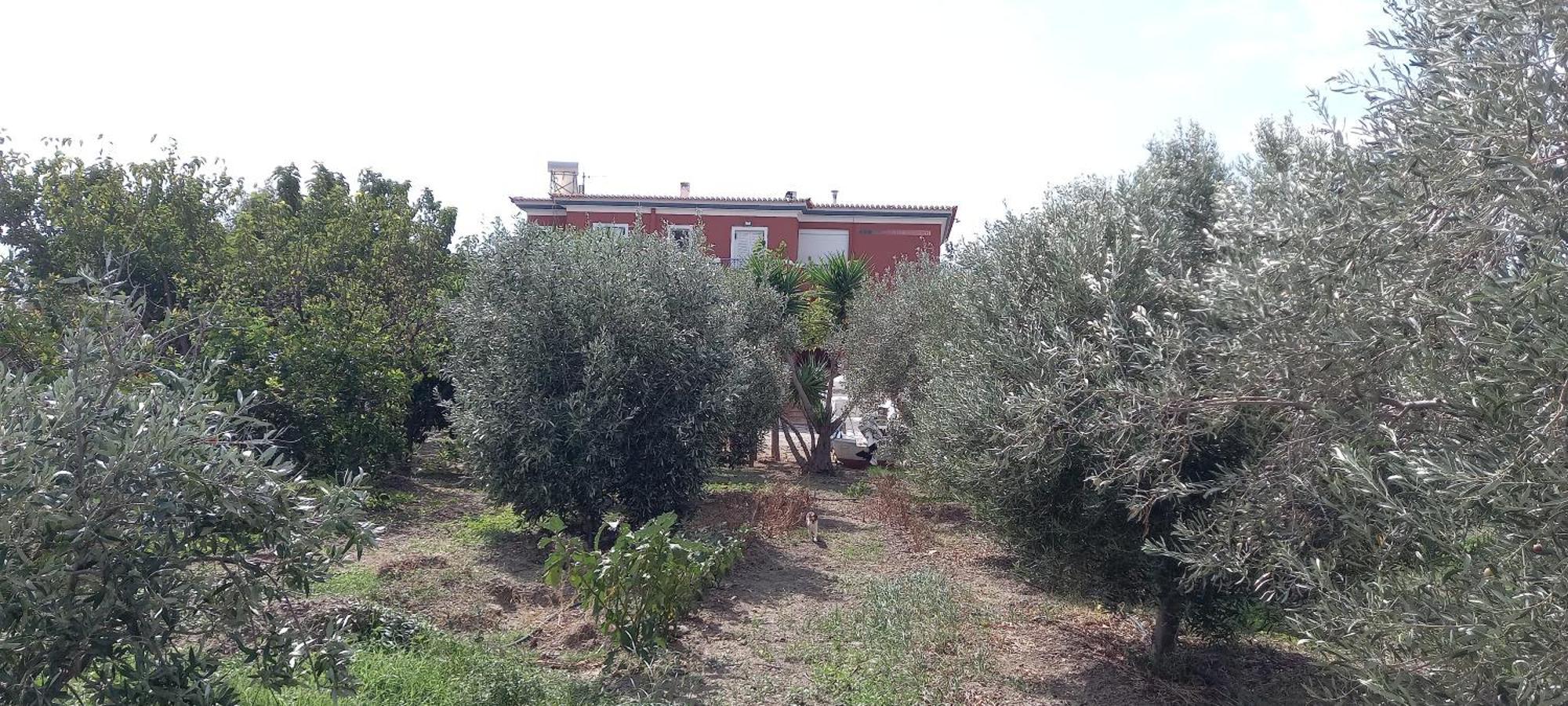 Appartamento Ktima Develekou Pigadhia  Esterno foto