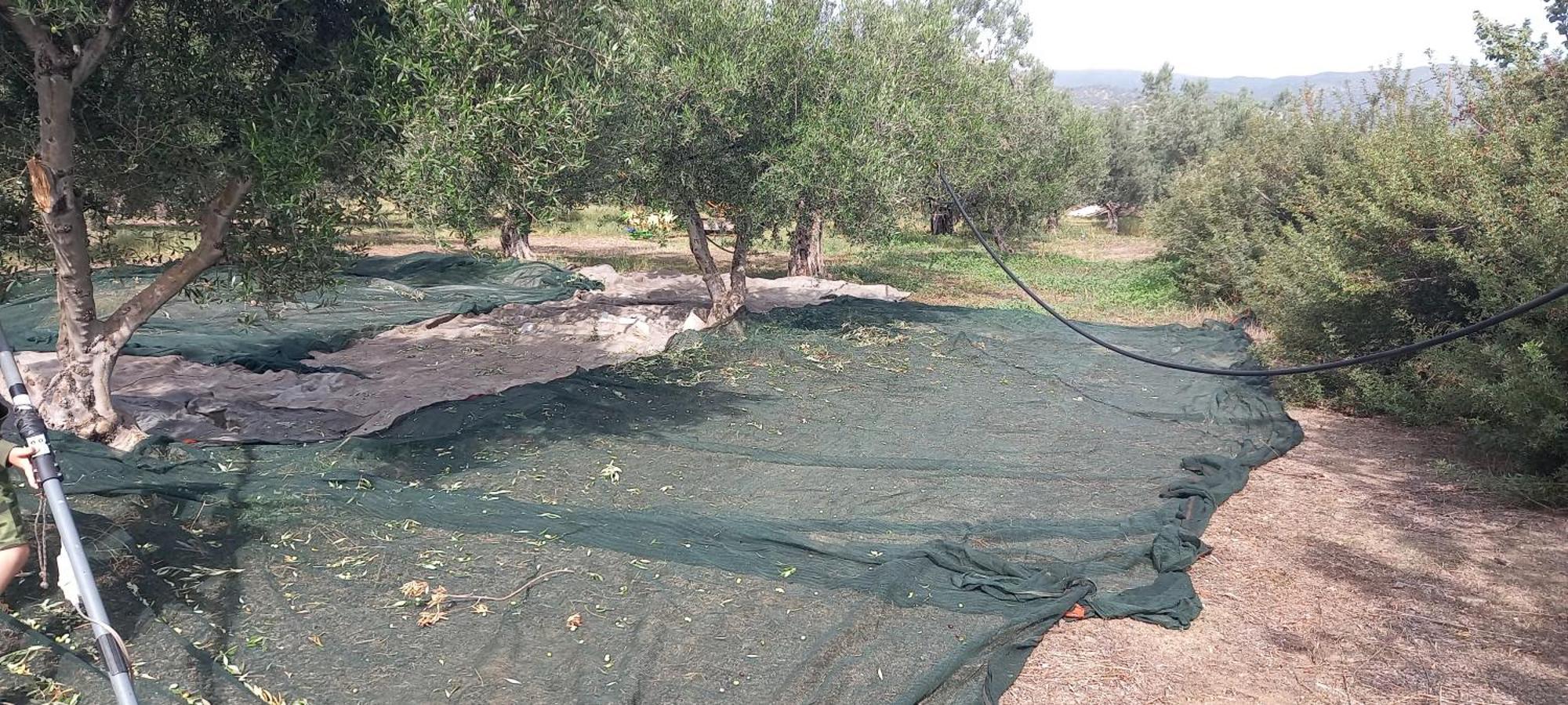 Appartamento Ktima Develekou Pigadhia  Esterno foto